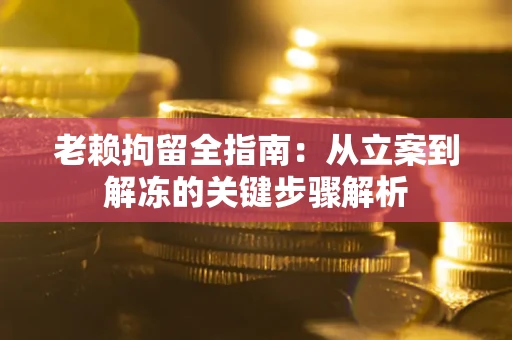 武汉老赖拘留全指南：从立案到解冻的关键步骤解析