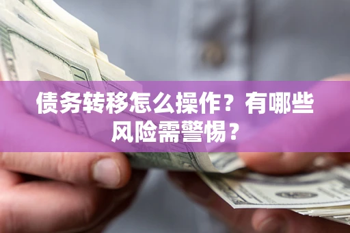 武汉债务转移怎么操作？有哪些风险需警惕？