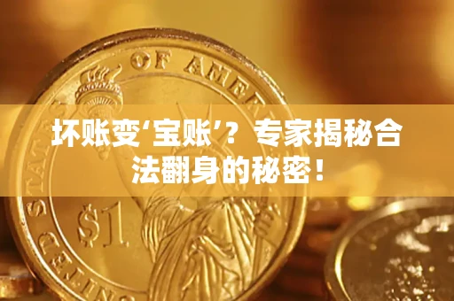 武汉坏账变‘宝账’？专家揭秘合法翻身的秘密！