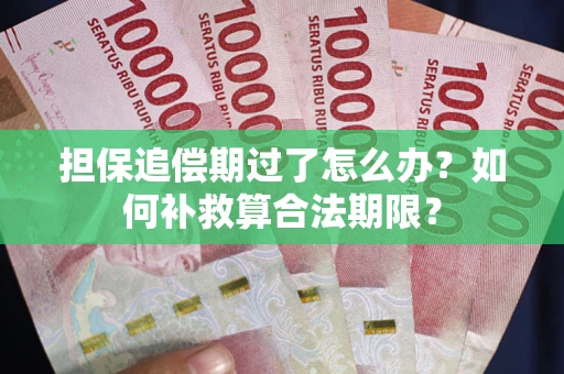 武汉担保追偿期过了怎么办？如何补救算合法期限？