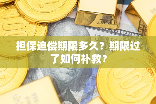 武汉担保追偿期限多久？期限过了如何补救？