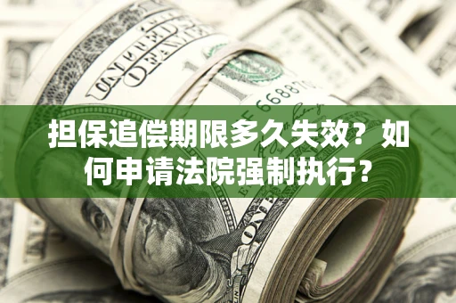 武汉担保追偿期限多久失效？如何申请法院强制执行？