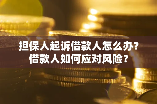 武汉担保人起诉借款人怎么办？借款人如何应对风险？