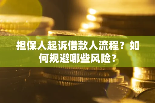 武汉担保人起诉借款人流程？如何规避哪些风险？