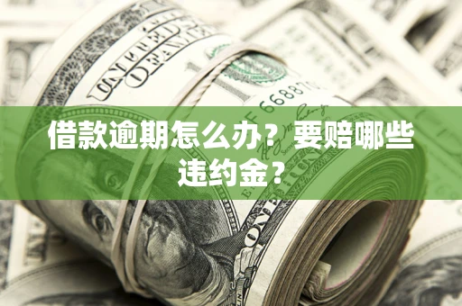 武汉借款逾期怎么办？要赔哪些违约金？