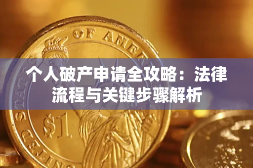 武汉个人破产申请全攻略：法律流程与关键步骤解析